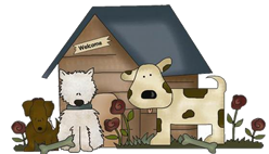 feature image